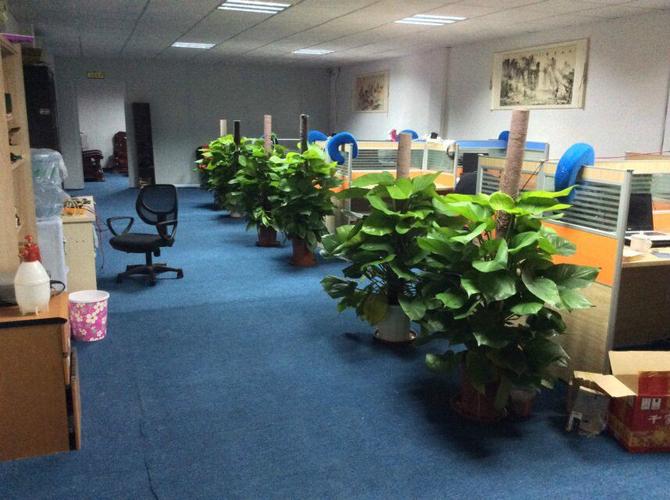 深圳市聯首掌控科技有限公司