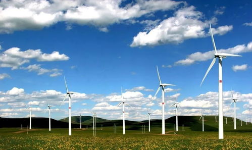 日本留學(xué)薪資最高的8大專業(yè)匯總 前景無(wú)限的技術(shù)服務(wù)領(lǐng)域